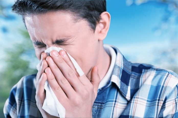 Starnuti frequentemente Controlla la tua casa per questi allergeni indoor