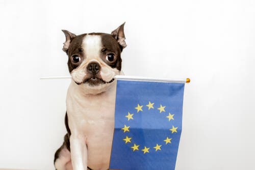 La Convenzione europea per la protezione degli animali da compagnia
